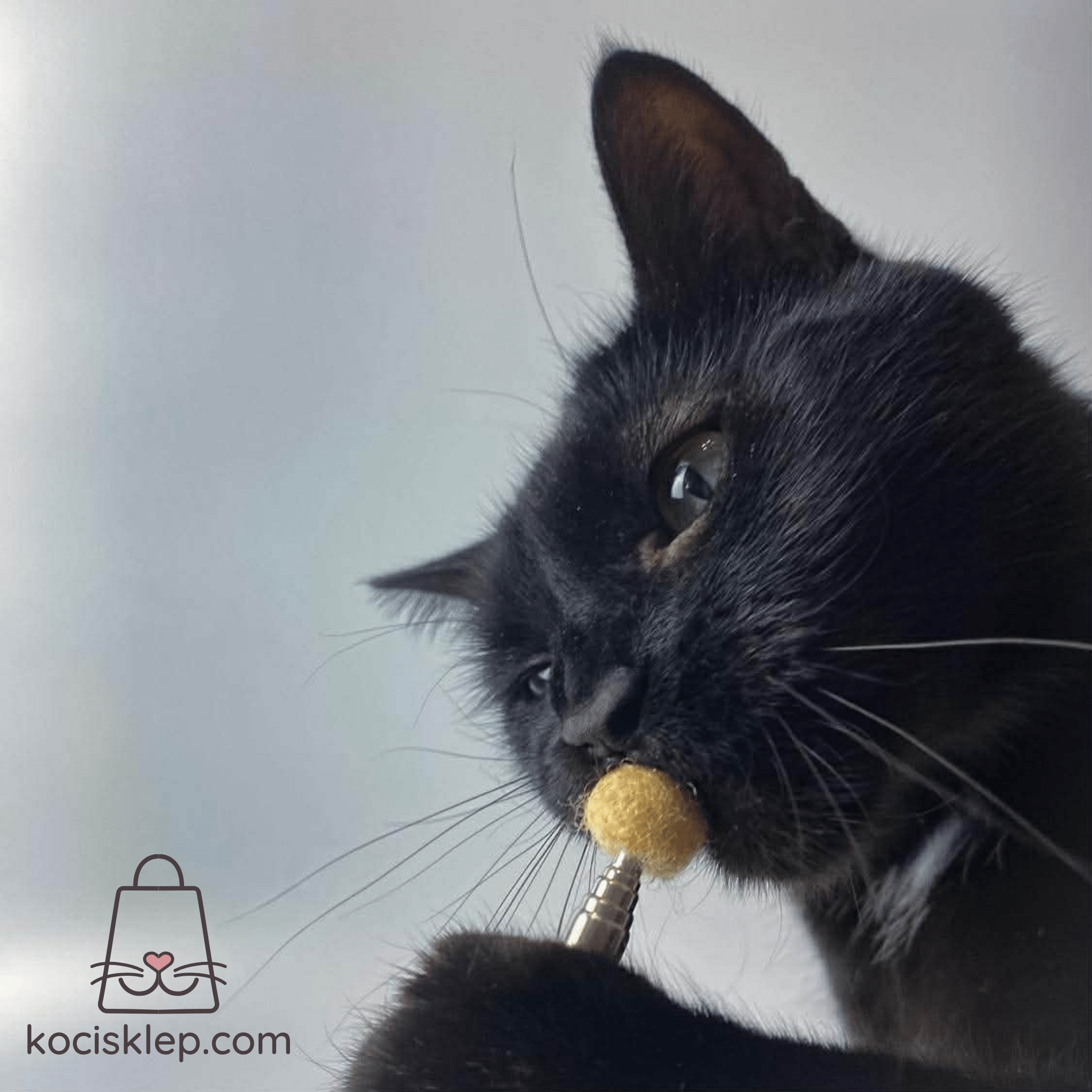 Głaskaczka / oswajaczka dla kotów - obrazek 3