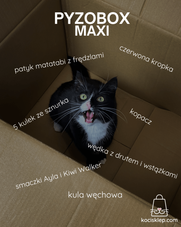 Pyzobox Maxi - obrazek 2